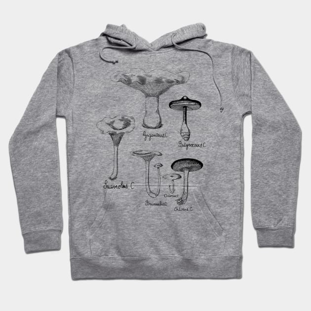 Wild Mushroom | For Fungi Foraging Fungiphiles Hoodie by encycloart